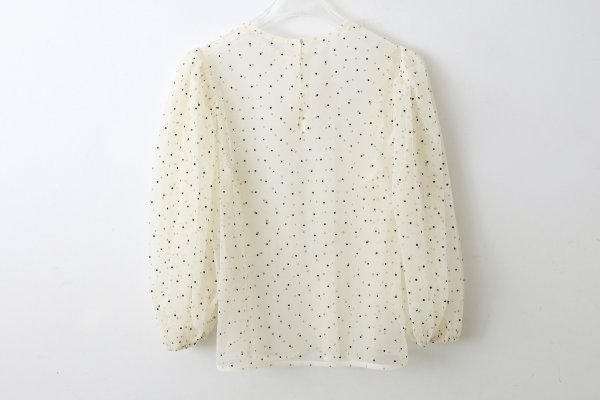 画像2: DOT tulle blouse (IV)