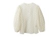 画像1: DOT tulle blouse (IV) (1)