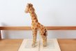 画像5: 1960年代シュタイフ社のキリン (Giraffe) (5)